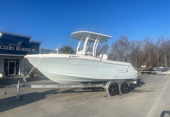 2021 Robalo R222 Explorer Boat